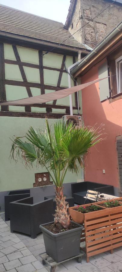 Gite Chez "Mamie Schlop" Kientzheim Εξωτερικό φωτογραφία